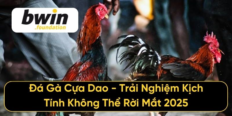 Đá Gà Cựa Dao - Trải Nghiệm Kịch Tính Không Thể Rời Mắt 2025