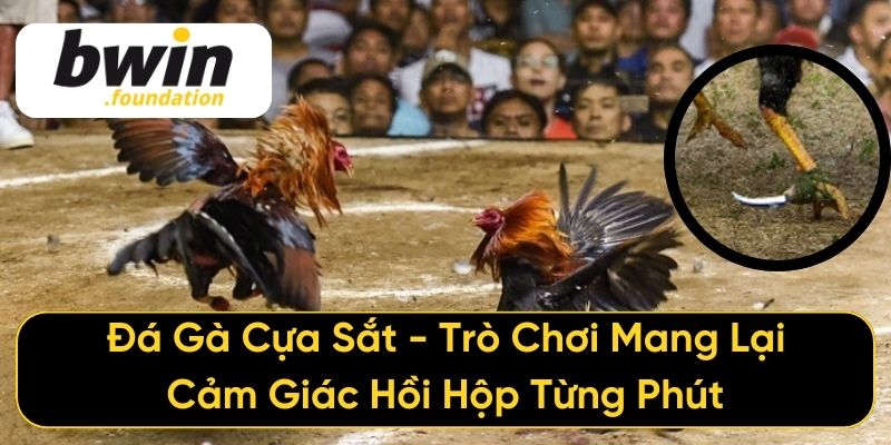 Đá Gà Cựa Sắt cách chơi nhanh thắng lớn cập nhật mới t9 2025