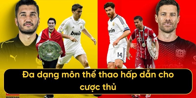 Đa dạng môn thể thao hấp dẫn cho cược thủ