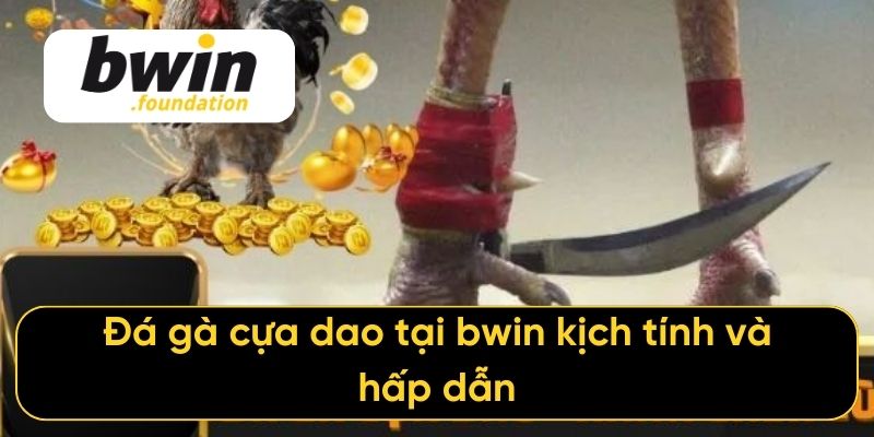 Đá gà cựa dao tại bwin kịch tính và hấp dẫn