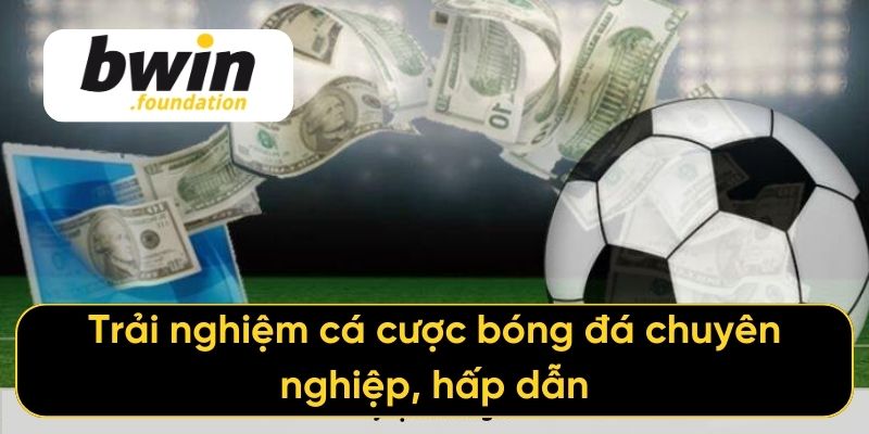 Trải nghiệm cá cược bóng đá chuyên nghiệp, hấp dẫn